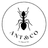 ANT&CO Logo
