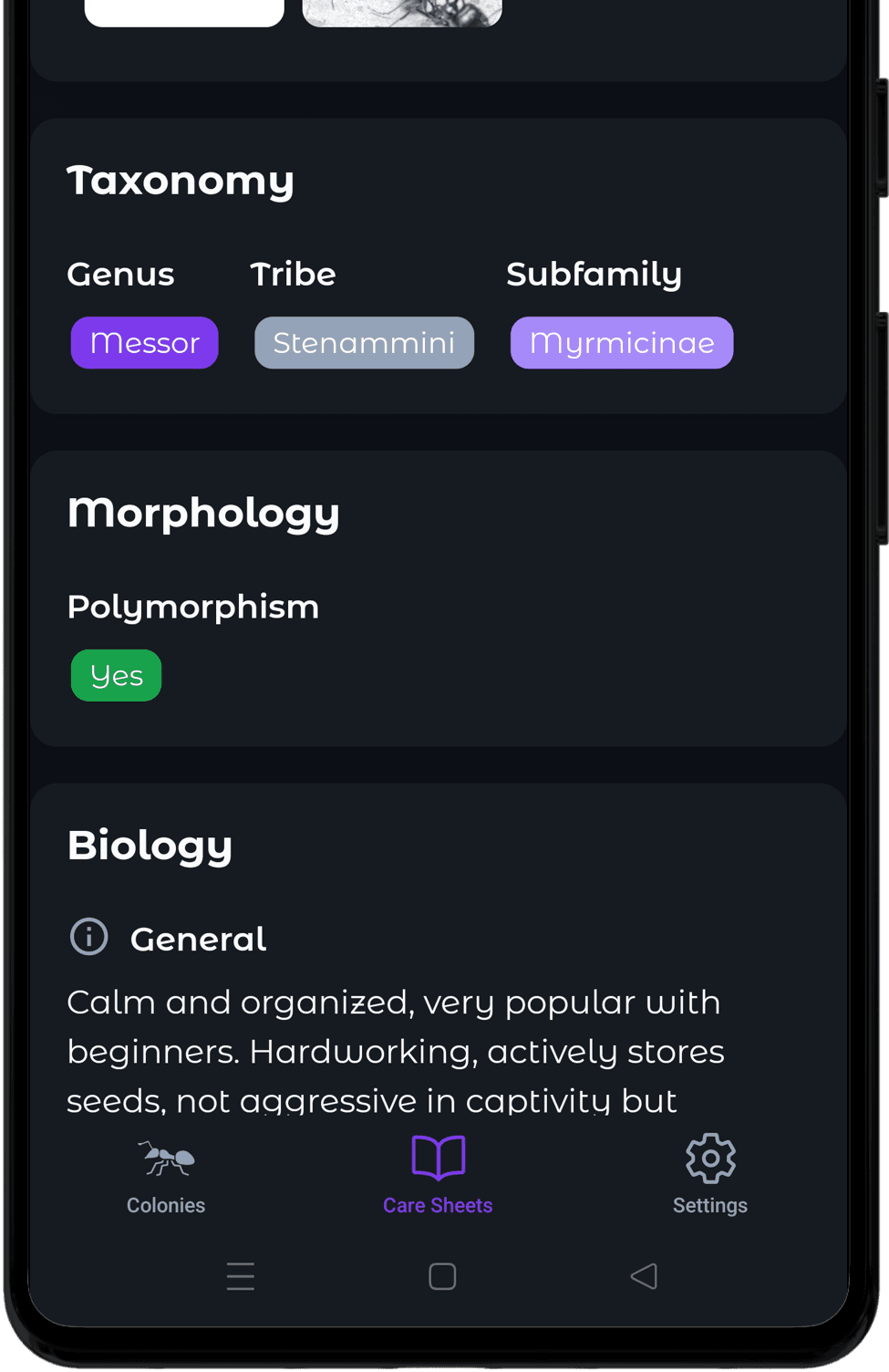 All breeding sheets