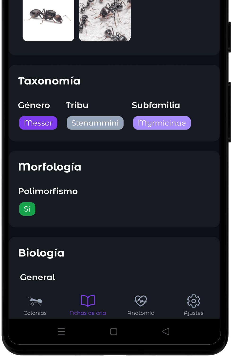 Todas las fichas de cría
