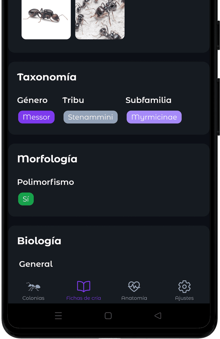 Todas las fichas de cría