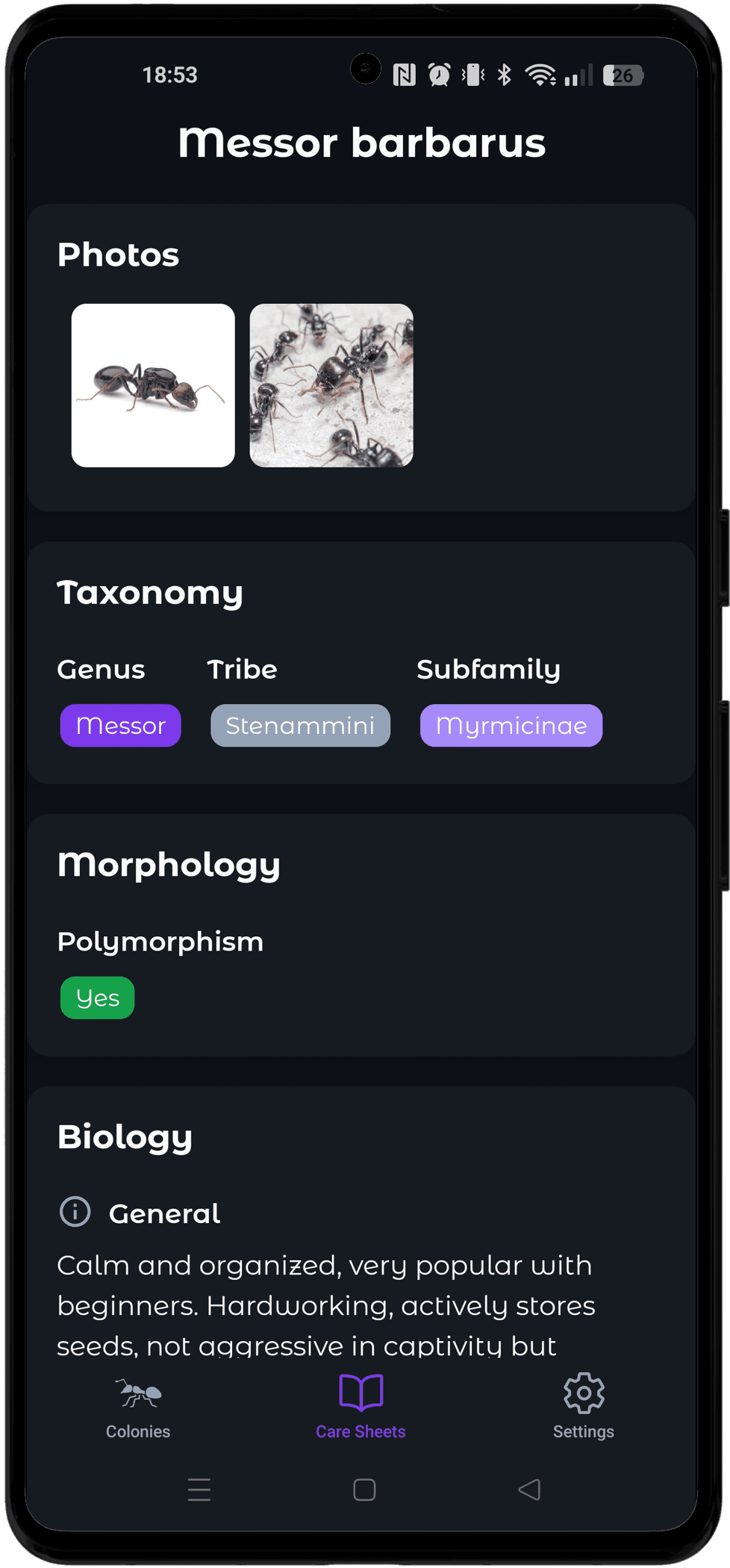 All breeding sheets