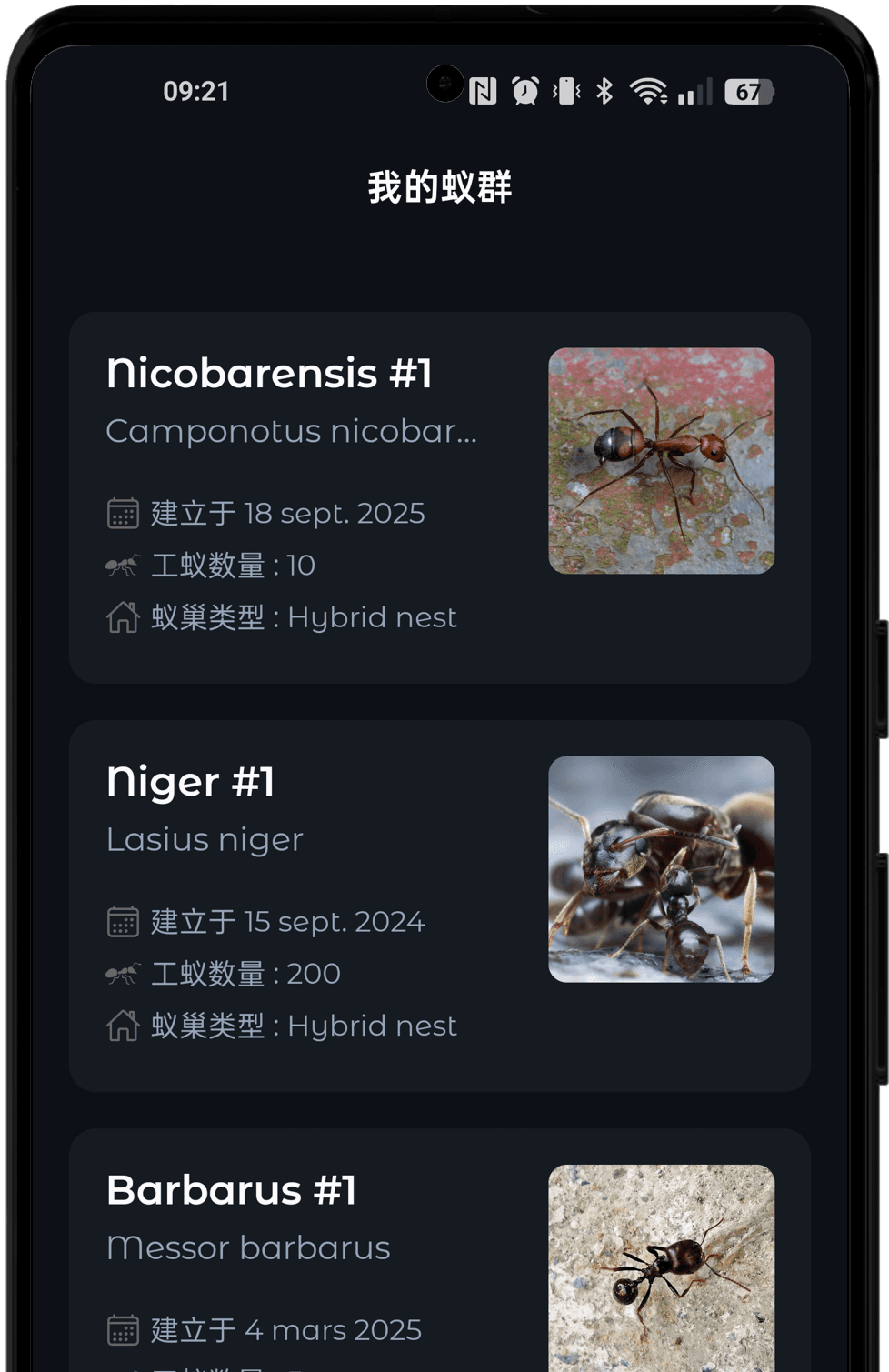 管理您的群落