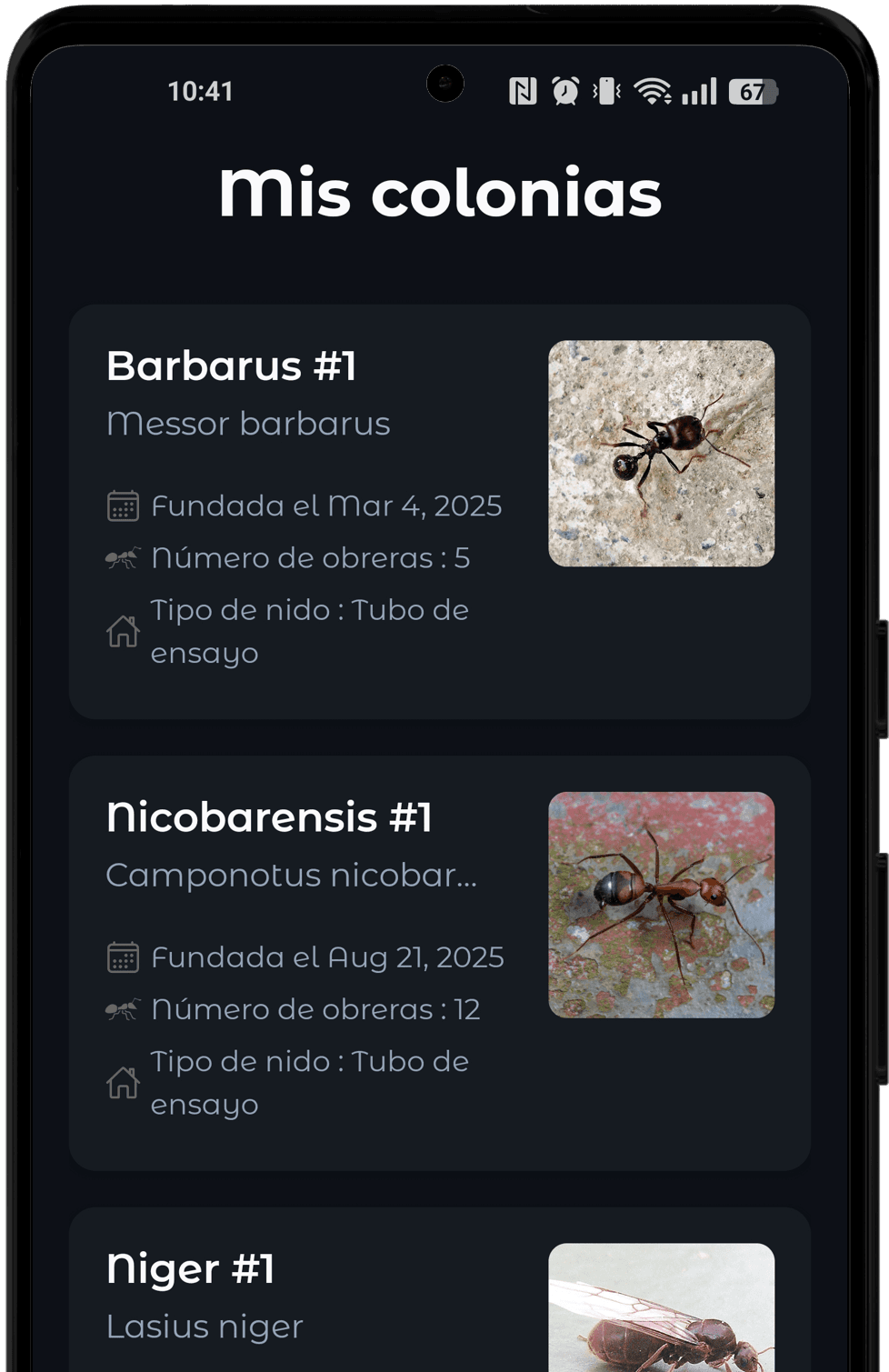 Gestiona tus colonias