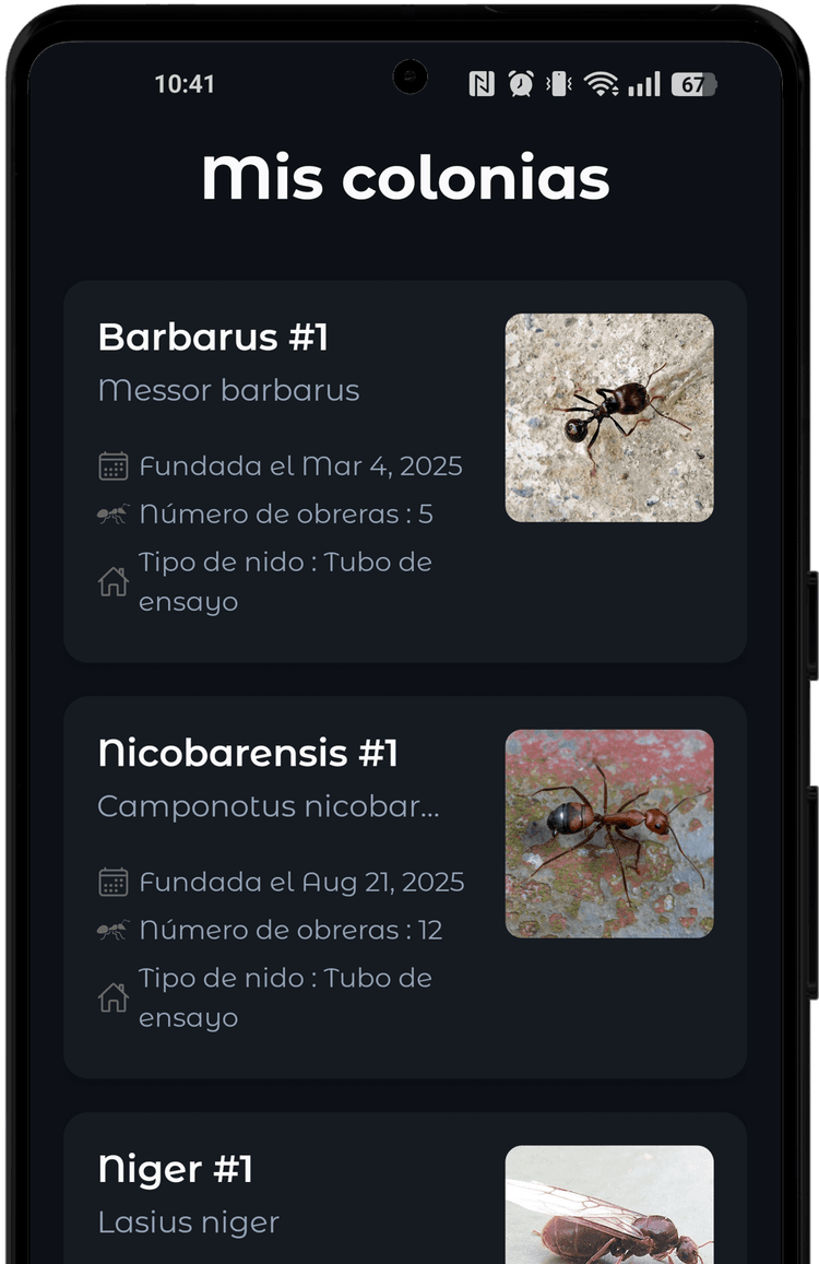 Gestiona tus colonias