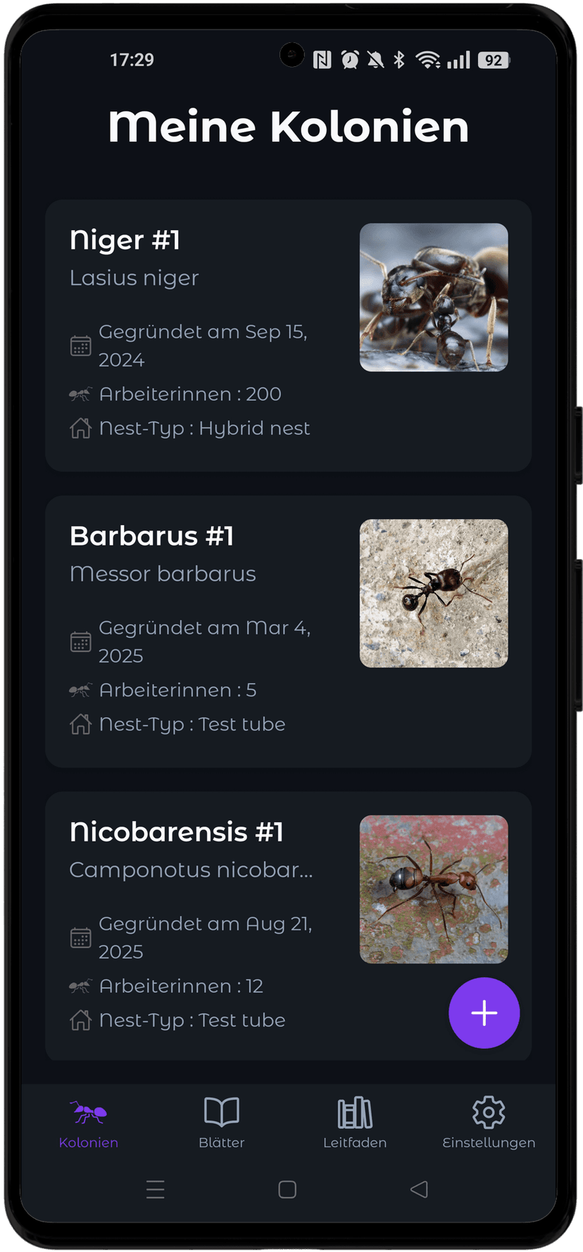 Verwalten Sie Ihre Kolonien