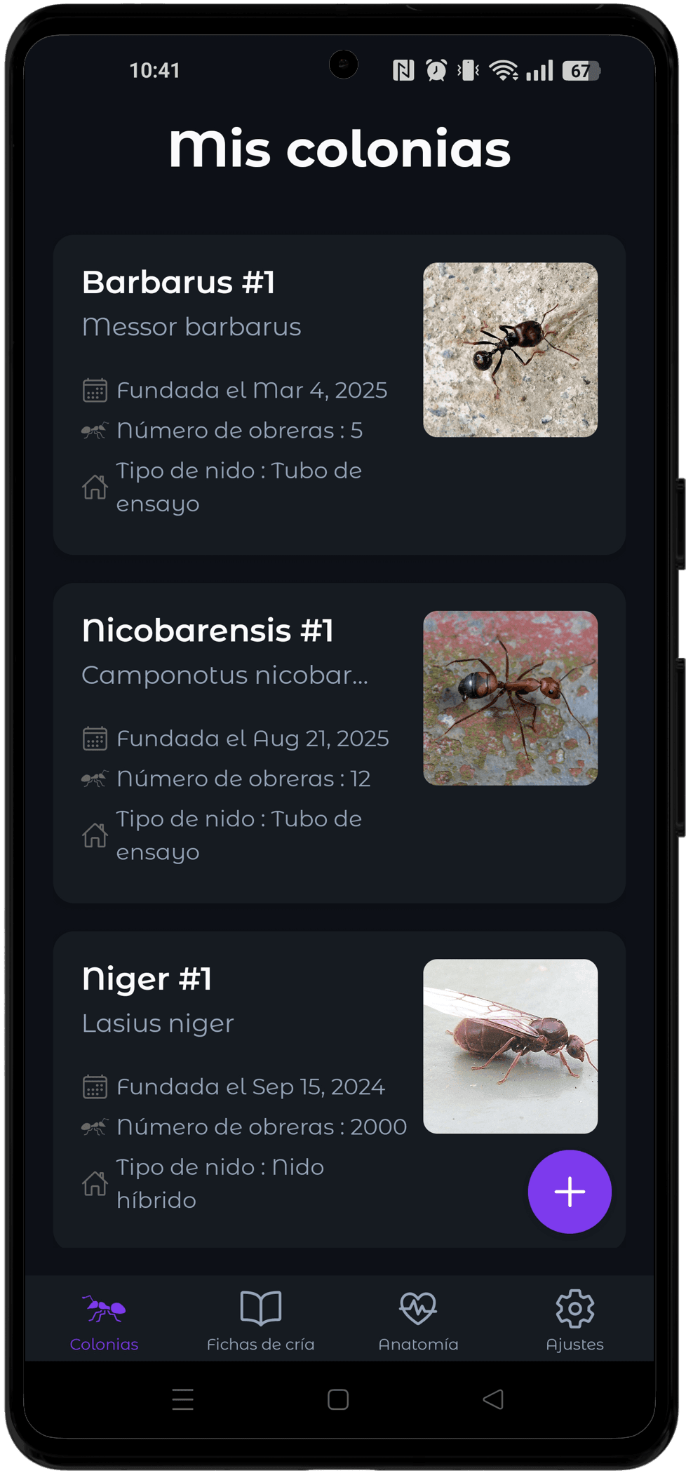 Gestiona tus colonias