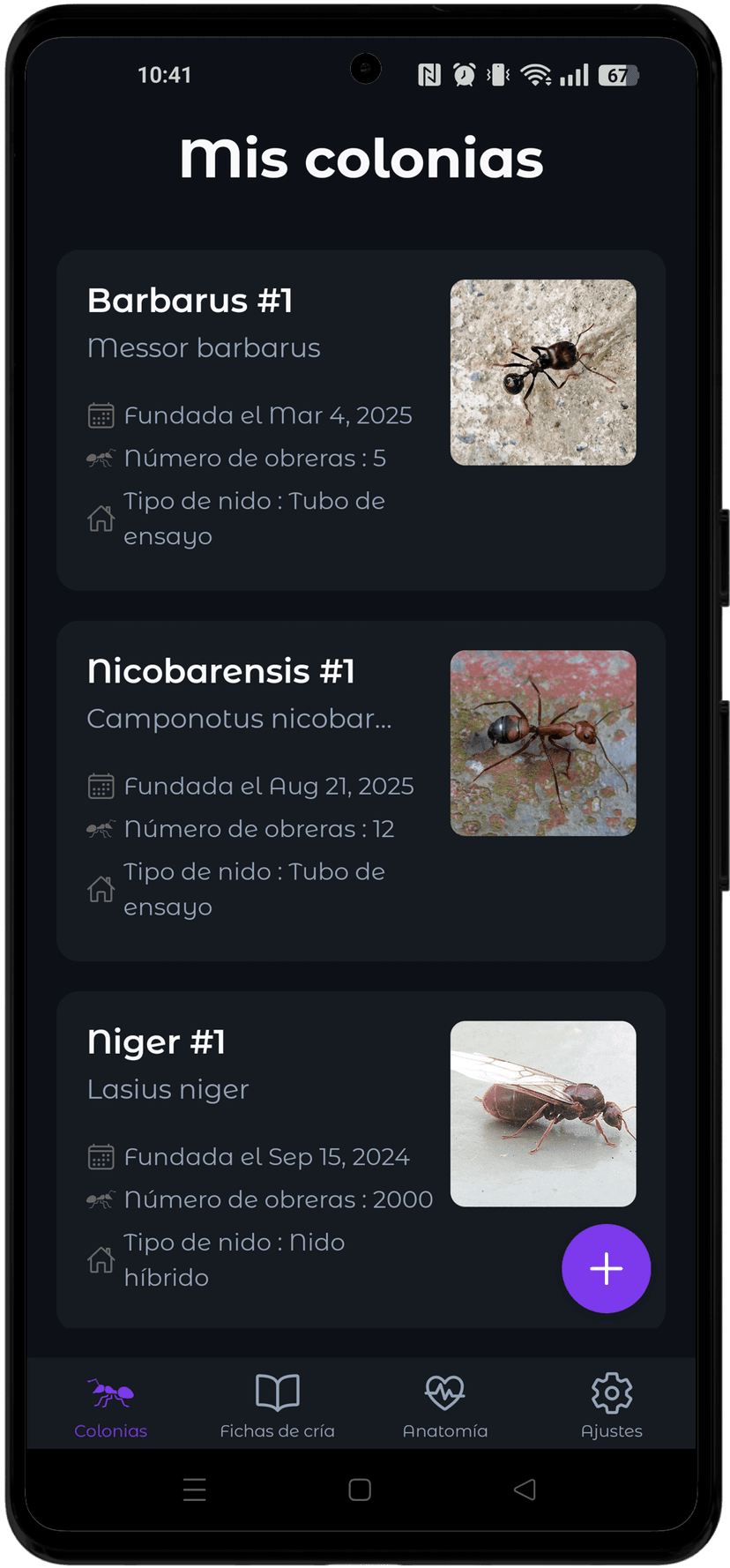 Gestiona tus colonias
