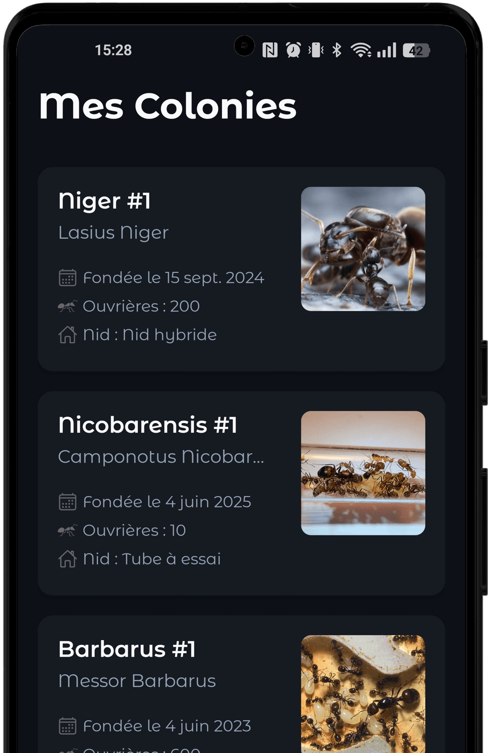 Gérez vos colonies
